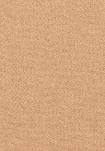 Короткое пальто