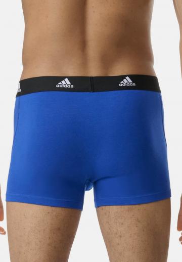 Подштанники