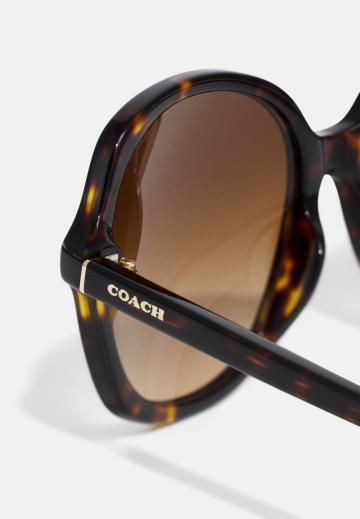 Солнечные очки