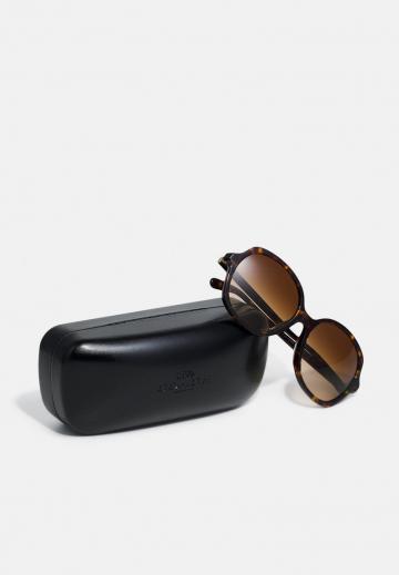 Солнечные очки