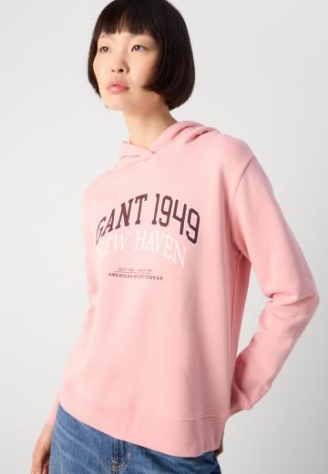 Пуловер с капюшоном