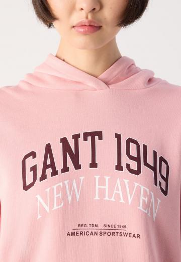 Пуловер с капюшоном