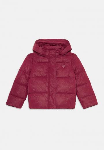 Зимняя куртка