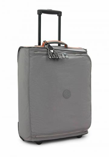 Чемодан на колесах