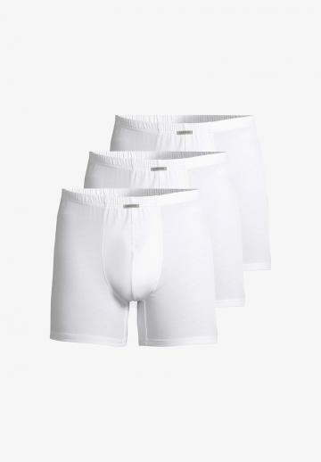 Подштанники