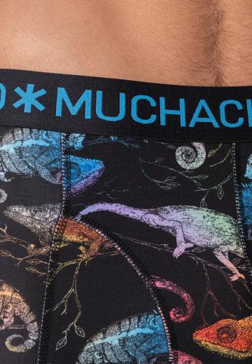 Трусы шортики