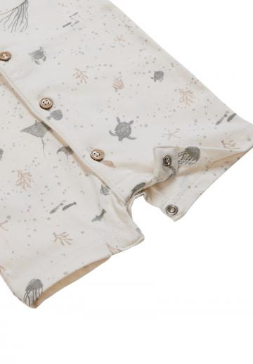 Набор одежды