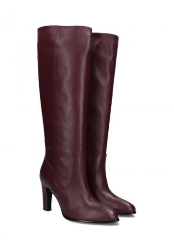 Высокие сапоги