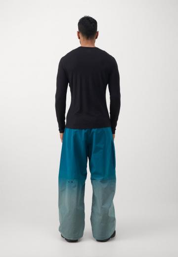 Сноубордические штаны