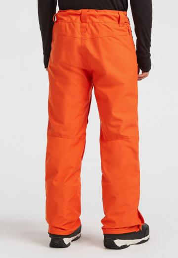 Сноубордические штаны