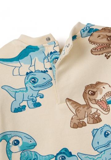 Набор одежды