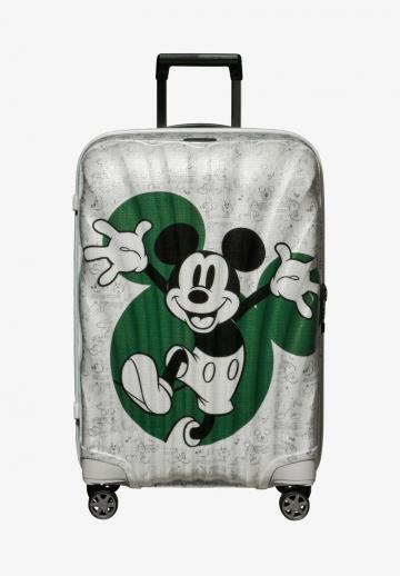 Чемодан на колесах