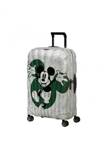 Чемодан на колесах