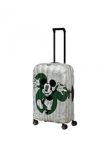 Чемодан на колесах