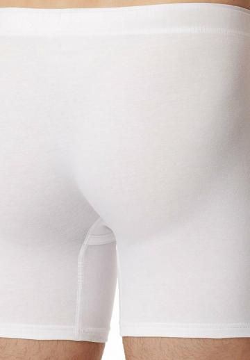 Подштанники