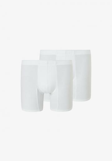 Подштанники