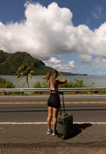 Чемодан на колесах