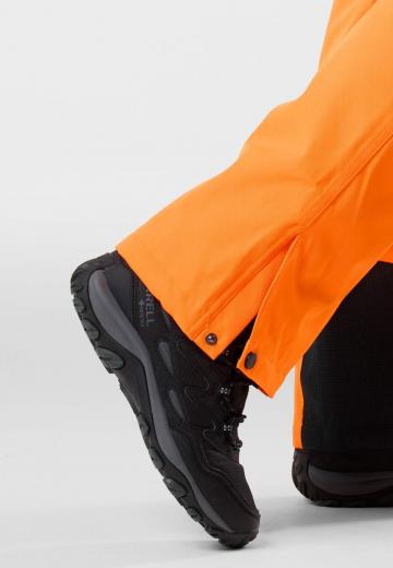 Сноубордические штаны