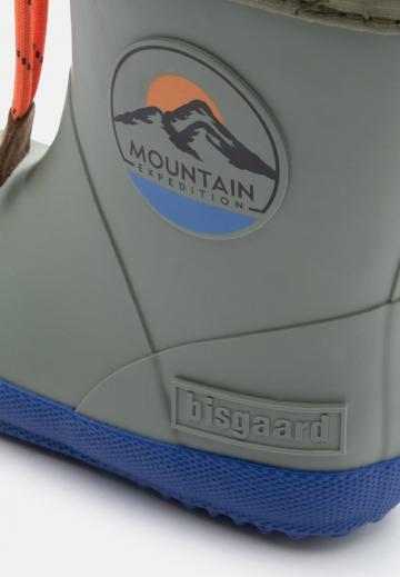 Резиновые сапоги