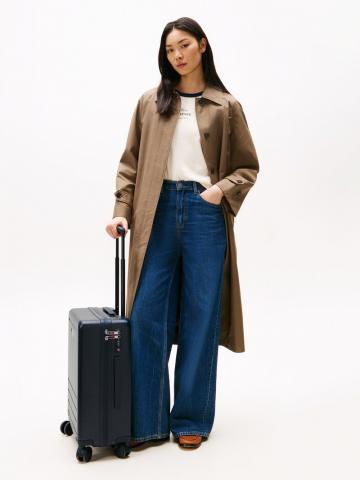 Чемодан на колесах