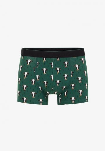 Трусы шортики