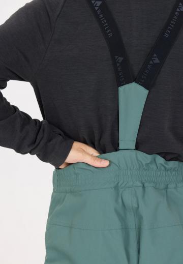 Сноубордические штаны