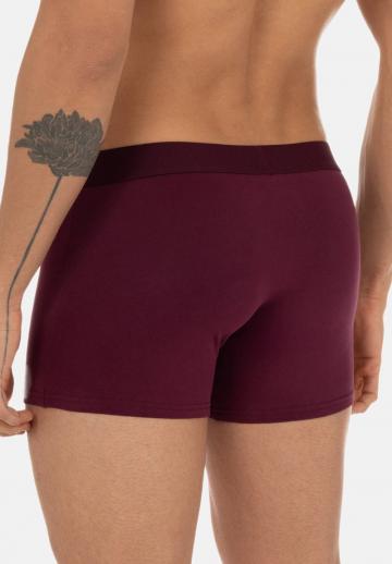 Трусы шортики