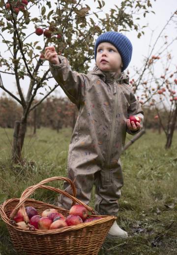 Набор одежды