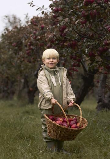Резиновые сапоги