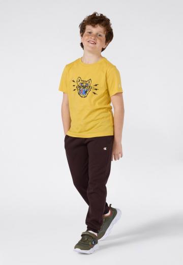 Спортивные штаны