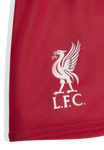 Спортивные шорты