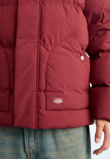 Зимняя куртка