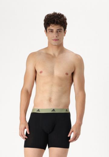 Подштанники