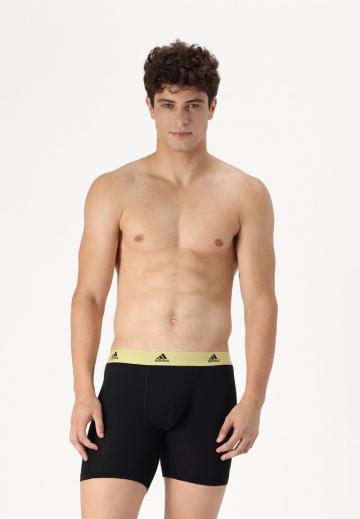 Подштанники