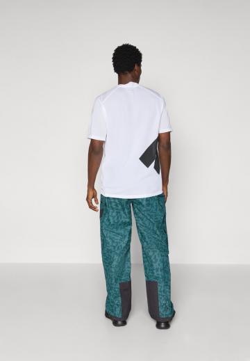 Сноубордические штаны