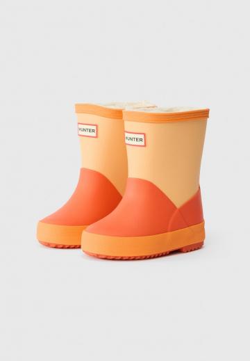 Резиновые сапоги