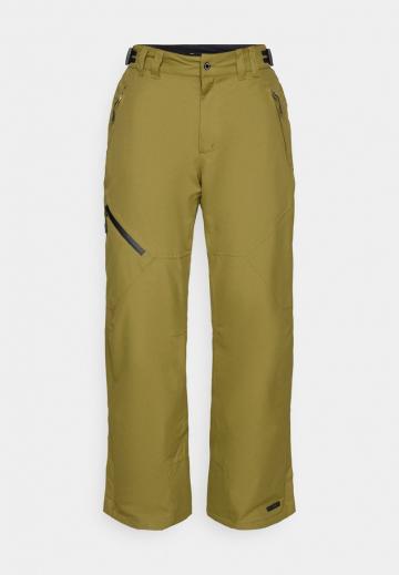 Сноубордические штаны