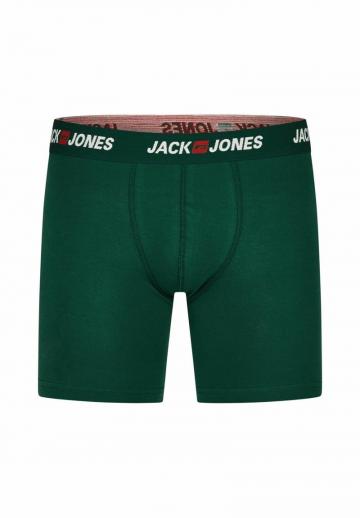 Подштанники