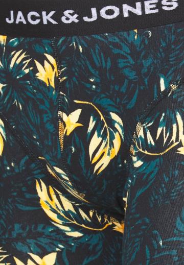 Подштанники