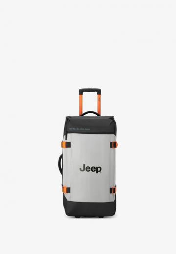 Чемодан на колесах