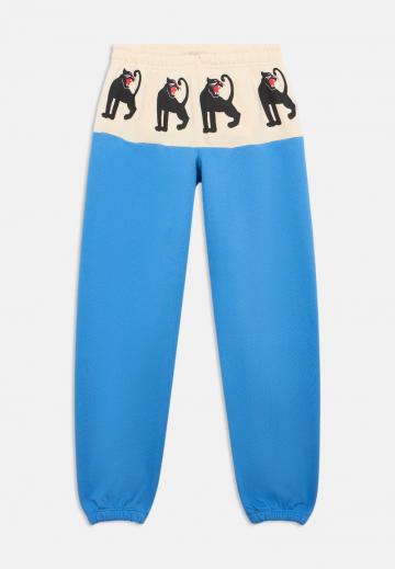 Спортивные штаны