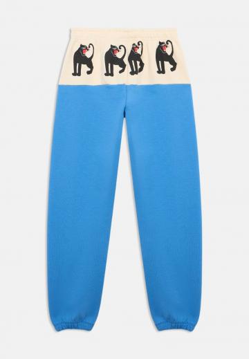 Спортивные штаны