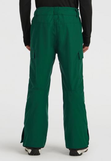 Сноубордические штаны