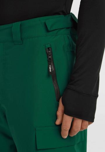 Сноубордические штаны