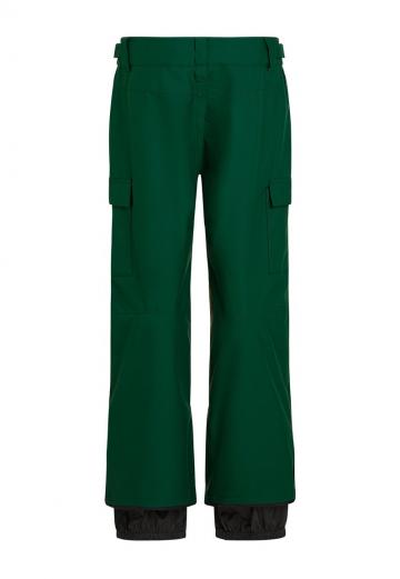 Сноубордические штаны