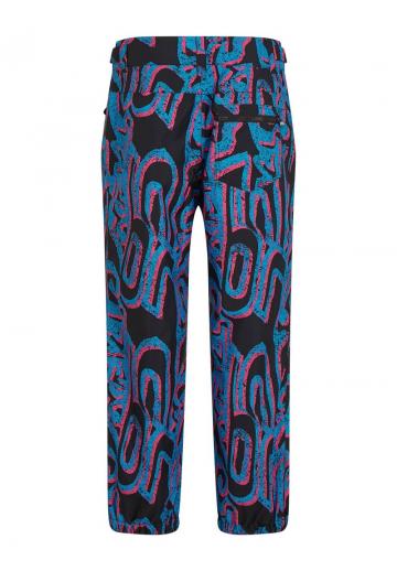 Сноубордические штаны