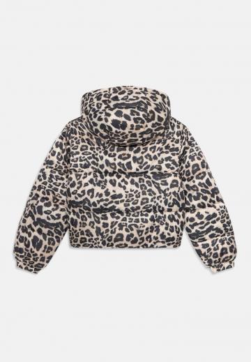 Зимняя куртка