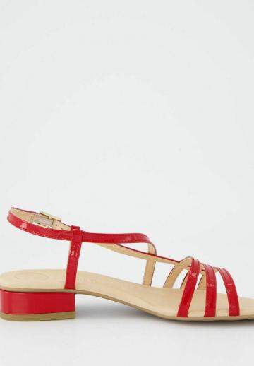 Гандбольные кроссовки