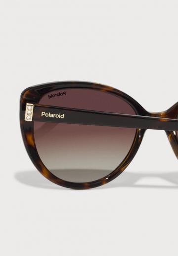 Солнечные очки