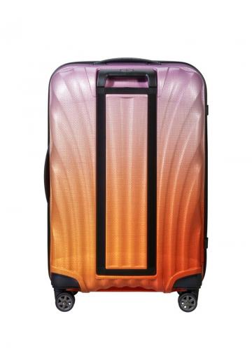 Чемодан на колесах